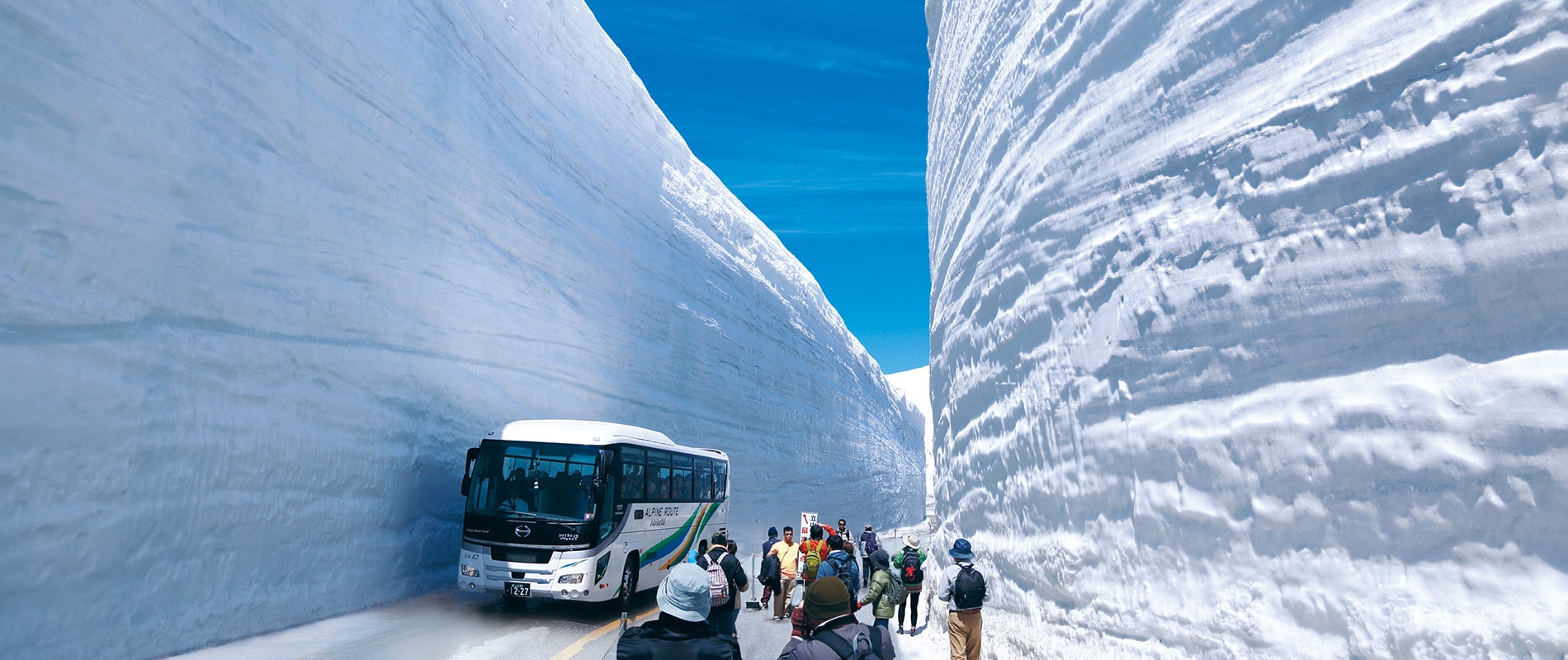 A Wide Range of Seasonal Plans